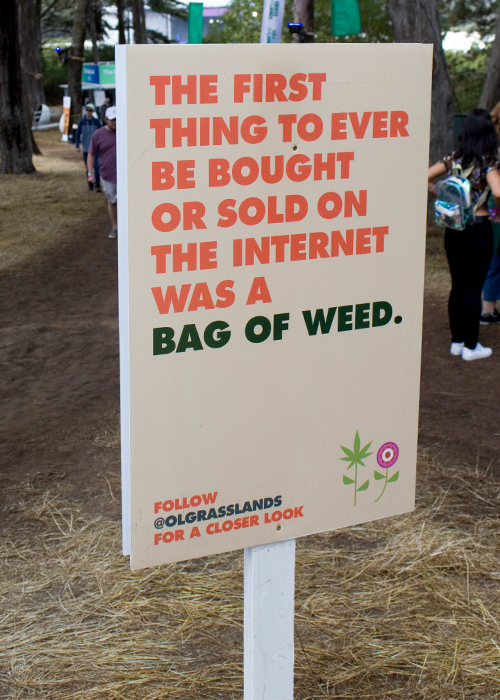 photo of Grass Lands – The Future of Music Festivals image