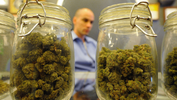 Two half-full jars of bud in Los Angeles where medical marijuana laws are changing quickly.