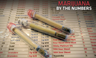Small vials of bud sit atop a chart labeled Marijuana by the numbers shows that 47% of the American population wants to legalize.