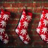 Red Christmas stockings with white pot leaves hang on a brick mantel this holiday season.