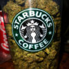 A vertical image of a Starbucks Coffee cup filled with bud, soon patrons in legal states hope to pick up weed the way they pick up coffee.