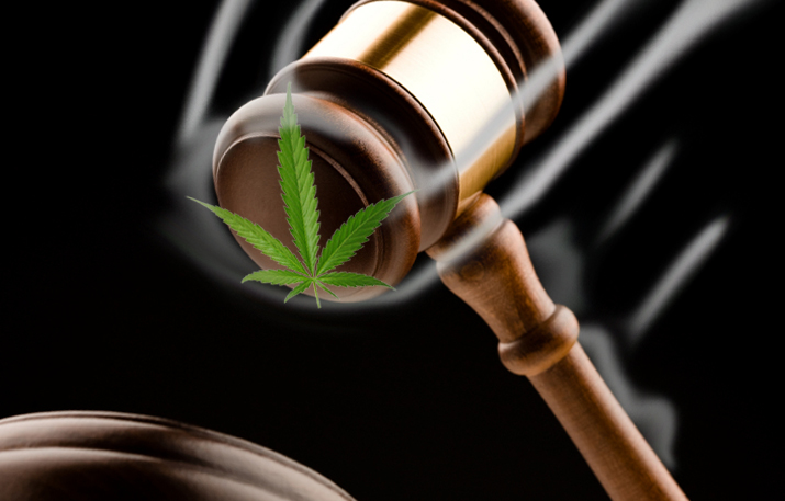 A pot leaf about to be smashed by a gavel.