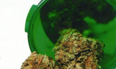 A green prescription bottle is tipped over with cannabis buds spilling out in North Carolina, where a MMJ bill was not passed.