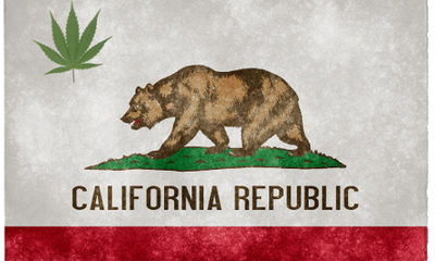 The California Republic flag, complete with marijuana leaf.