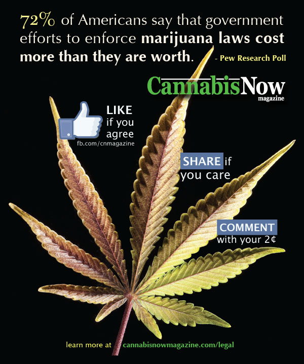 An image with a pot leaf is overlaid with thumbs up, shares, comments, and the Cannabis Now logo to show that 52% of American's support legalization.