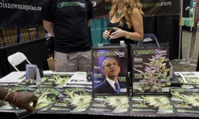 Cannabis Now magazines openly on display may soon be hidden among pornographic magazines in Colorado.