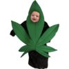 A baby in a pot leaf costume.