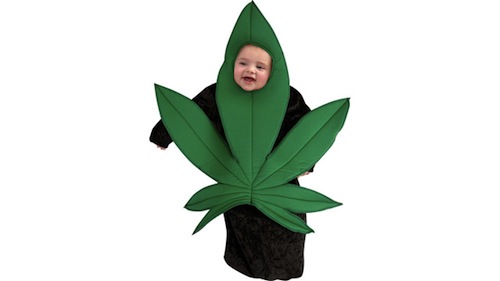 A baby in a pot leaf costume.