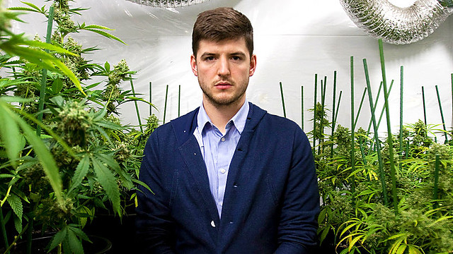 James Alexandrou in a cannabis grow room as he investigates Brit's love of this illegal plant for BBC.