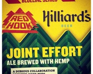 The yellow and green label of Hillard's beer which has taken part of a joint effort and brewed their ale with hemp.