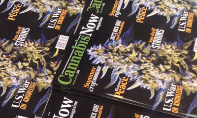 Cannabis Now Magazine issue 7