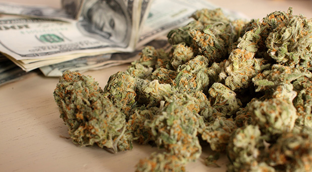 Crowdfunding for cannabis companies