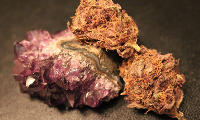 purple diesel strain amethysts