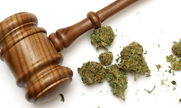 Supreme Court rejects ASA appeal for Cannabis