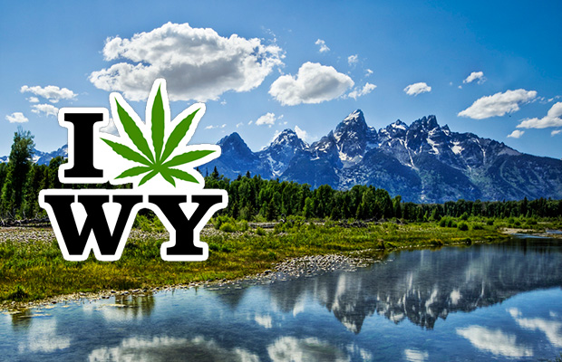 Wyoming Pot Legalization Initiatives