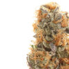 Lavender Kush Strain Review by Dragonfly