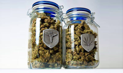 What cannabis strains works best for your medical condition?