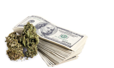 most expensive cannabis strain