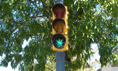 One year after Washington voters legalized cannabis for recreational use, cops are still pulling over cannabis consumers by the hundreds, not for “reckless” or “impaired” driving, but simply for suspicion of having THC in their bloodstream. | Cannabis Now Magazine