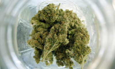 Recreational marijuana available in Colorado on New Year's Day | Cannabis Now Magazine