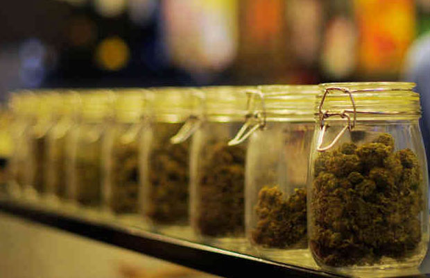 Those hopeful of growing, processing and selling recreational marijuana in Washington state have until Dec. 19 to turn in their application | Cannabis Now Magazine