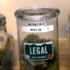 A jar of Legal Colorado bud is helping grow Colorado's economy.