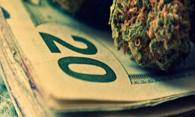 It’s Time for the Federal Government to Allow the Free Market to Control Cannabis | Cannabis Now Magazine