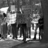 A black and white image of protestors using a tried and true was of protesting, holding signs demanding legalization and making sure people obey state laws.