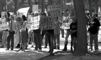 A black and white image of protestors using a tried and true was of protesting, holding signs demanding legalization and making sure people obey state laws.