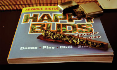 The cover of the book Happy Buds atop a bamboo placemat. On top of the book is a Zippo and an unrolled blunt.
