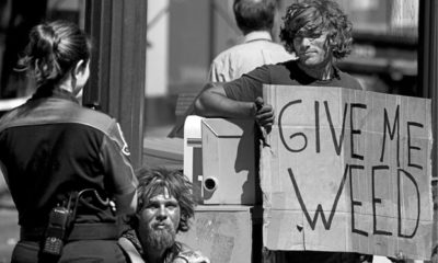 A black and white image of a homeless man holding a sign saying "Give Me Weed" highlights the relationship between the homeless and marijuana.
