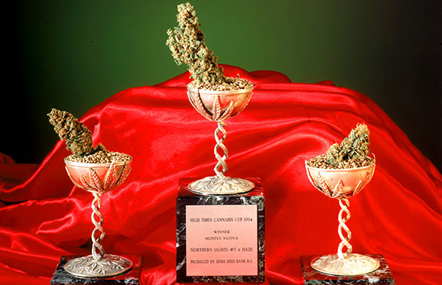 Cannabis cups on a red piece cloth.