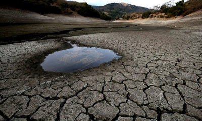 A desolate piece of land cracked from a drought, with a small puddle of water remaining. A drought like this in California could drive the prices of marijuana up.