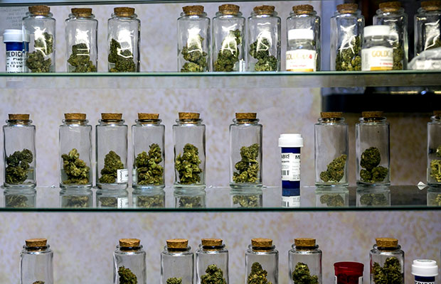 A shelf of jars filled with buds at a compassion club in Canada.