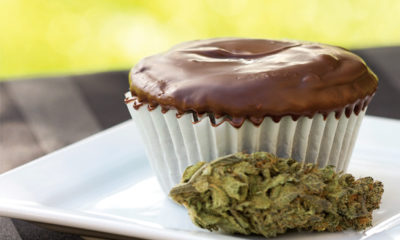 A chocolate cupcake infused with Romulan bud sits next to a bud of the same strain.