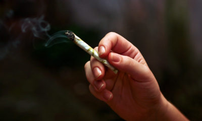 A hand holds a half smoked joint as the smoker inhales the medicinal benefits of marijuana.