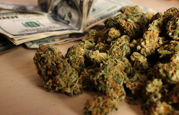 Beautiful buds next to a stack of 100 dollar bills