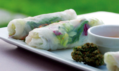 Two Vietnamese lemon kush spring rolls sit on a white plate next to a dipping sauce and cannabis buds.