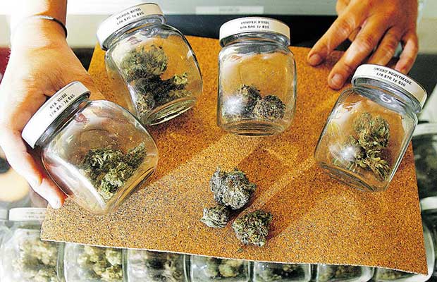 A caretaker displays an array of jars filled with buds for patients in Oregon.
