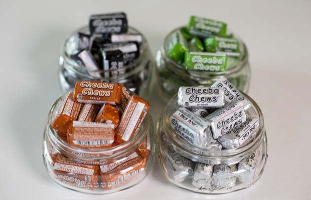 Four jars of different flavored Cheeba Chews.