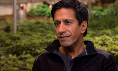 Sanjay Gupta sits for an interview in a green house full of marijuana.