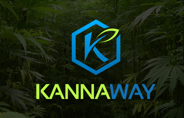 The blue and yellow log for Kannaway, the first hemp-based network marketing company.