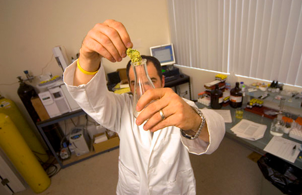 A man in a lab coat at University of Arizona transfers CBD oil into a beaker as he studies the effects of marijuana on PTSD.