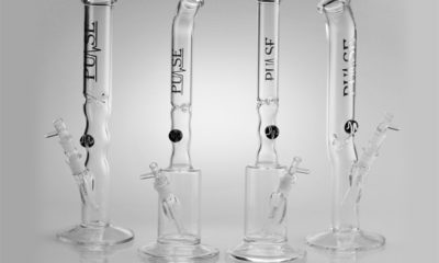 Four Double Showerhead Nanos by Pulse glass stand side by side on a white background.