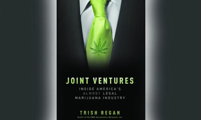 Cover of the book 'Joint Ventures' by Trish Regan