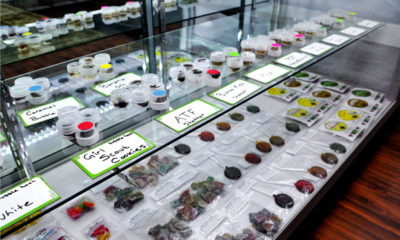A display case at a dispensary in Colorado may no longer be able to showcase large quantities of concentrates and edibles.