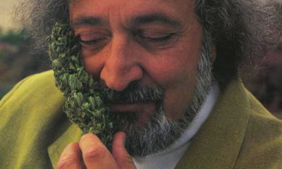 Jack Herer, the godfather of the modern hemp legalization movement, holds a large bud up to his face and inhales the beautiful scent with a smile on his face.