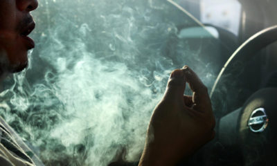A man takes a hit from a joint while behind the wheel may be pulled over for a saliva test in Michigan.