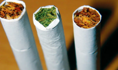 A joint between two tobacco rolls represents that teenagers using cannabis out perform those who use tobacco.