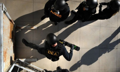 Upon confirmation that congress was still allowing raids, a DEA team storms through the doors of a cannabis grow operation.